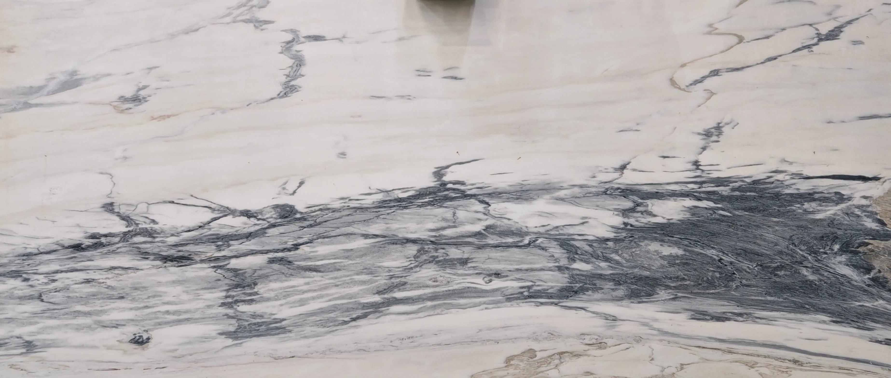 Калакатта Неро Вайт