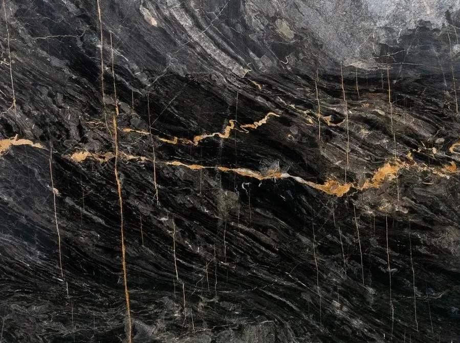 Визион Голден Блэк