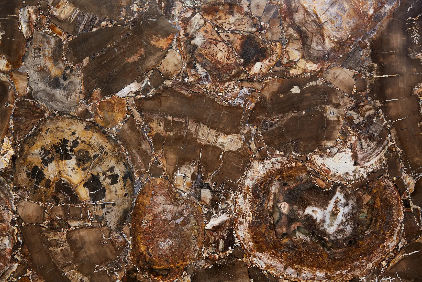 Браун Пьетрифид Вуд