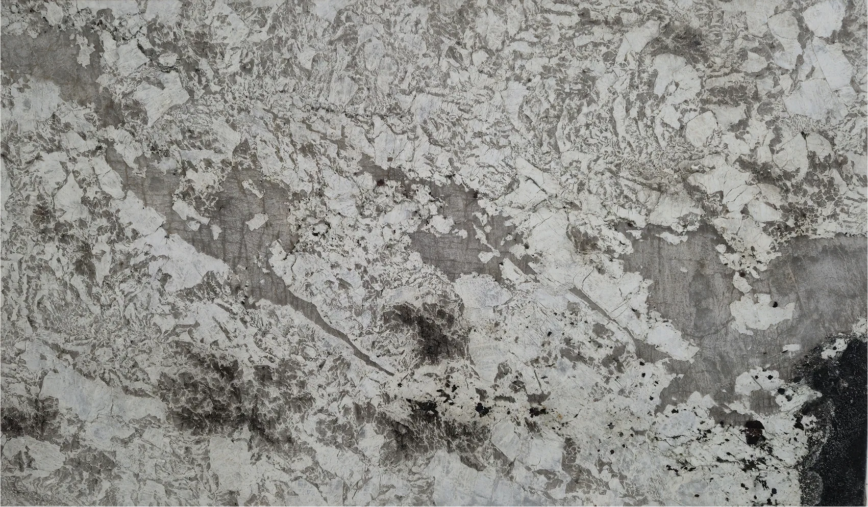 Деликатус Вайт